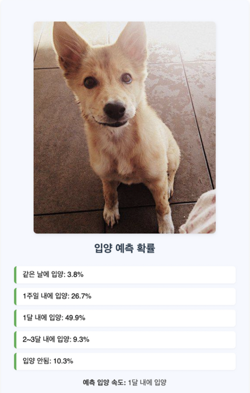 입양 속도 예측